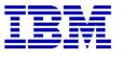 לוגו IBM